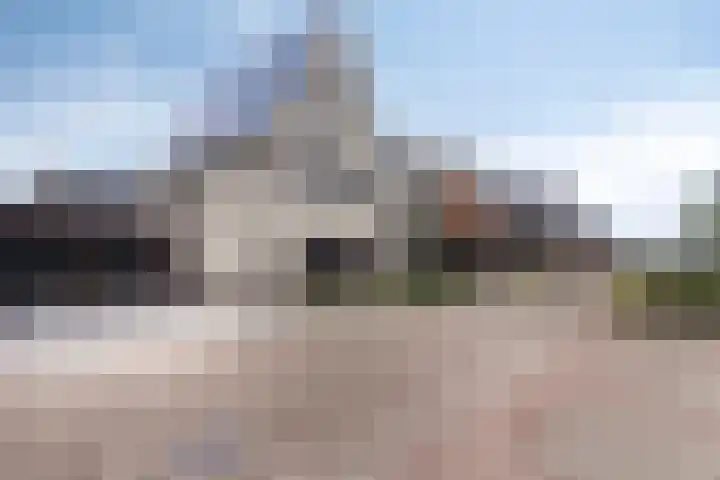 Bodemmes 10 Best thumbnail 6