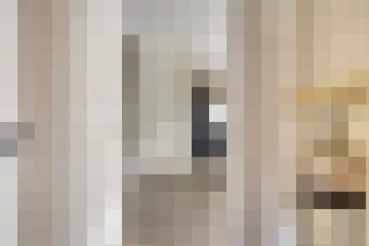 Bodemmes 10 Best thumbnail 9