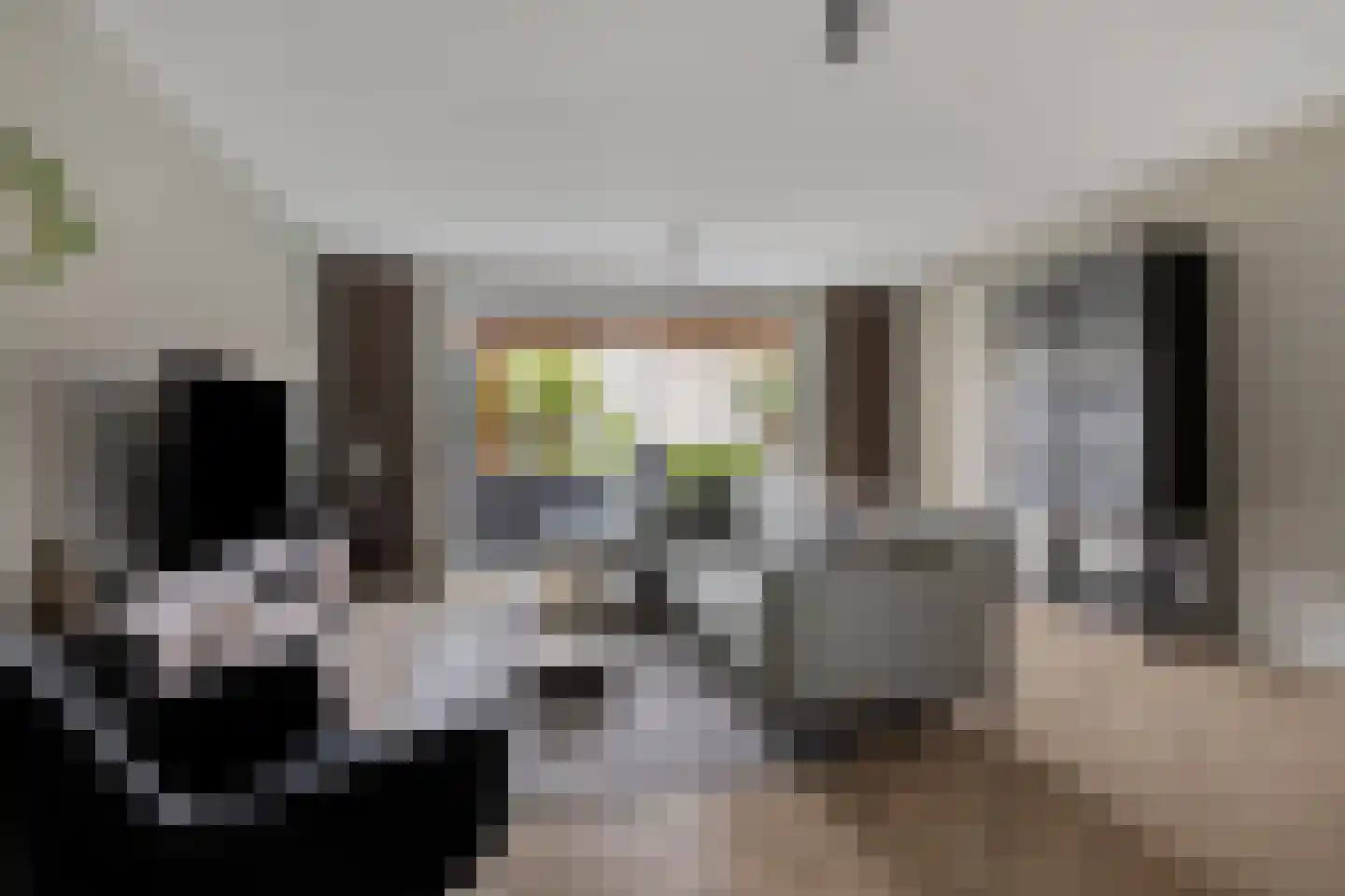 Bodemmes 25 Best thumbnail 11