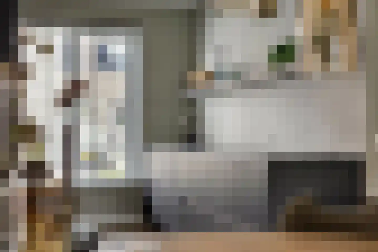 Bodemmes 25 Best thumbnail 14