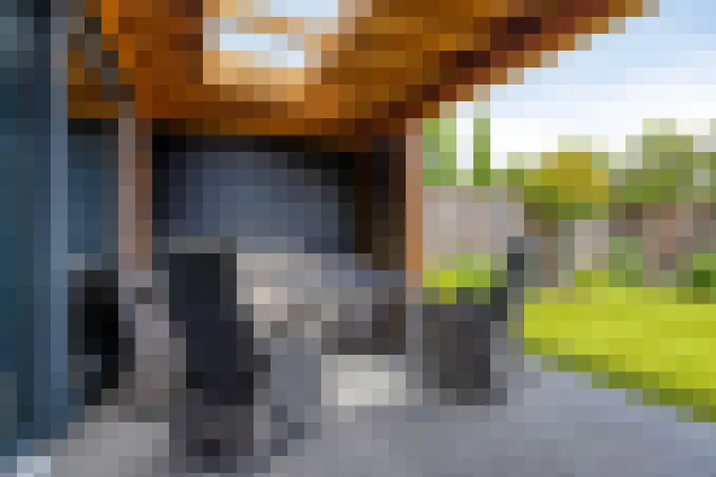 Bodemmes 25 Best thumbnail 30