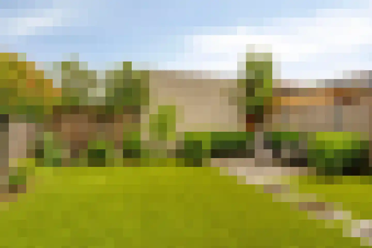 Bodemmes 25 Best thumbnail 31