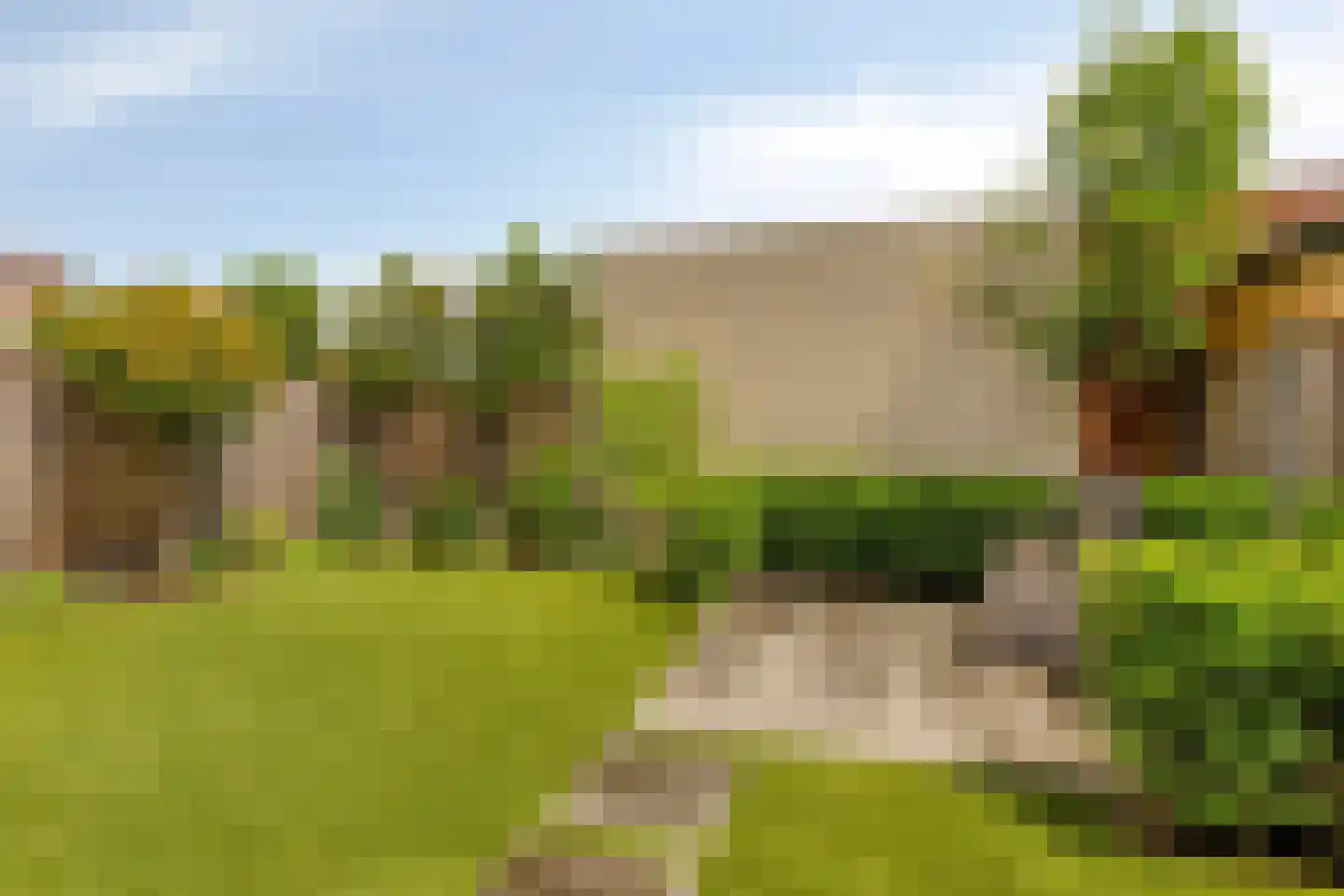 Bodemmes 25 Best thumbnail 32