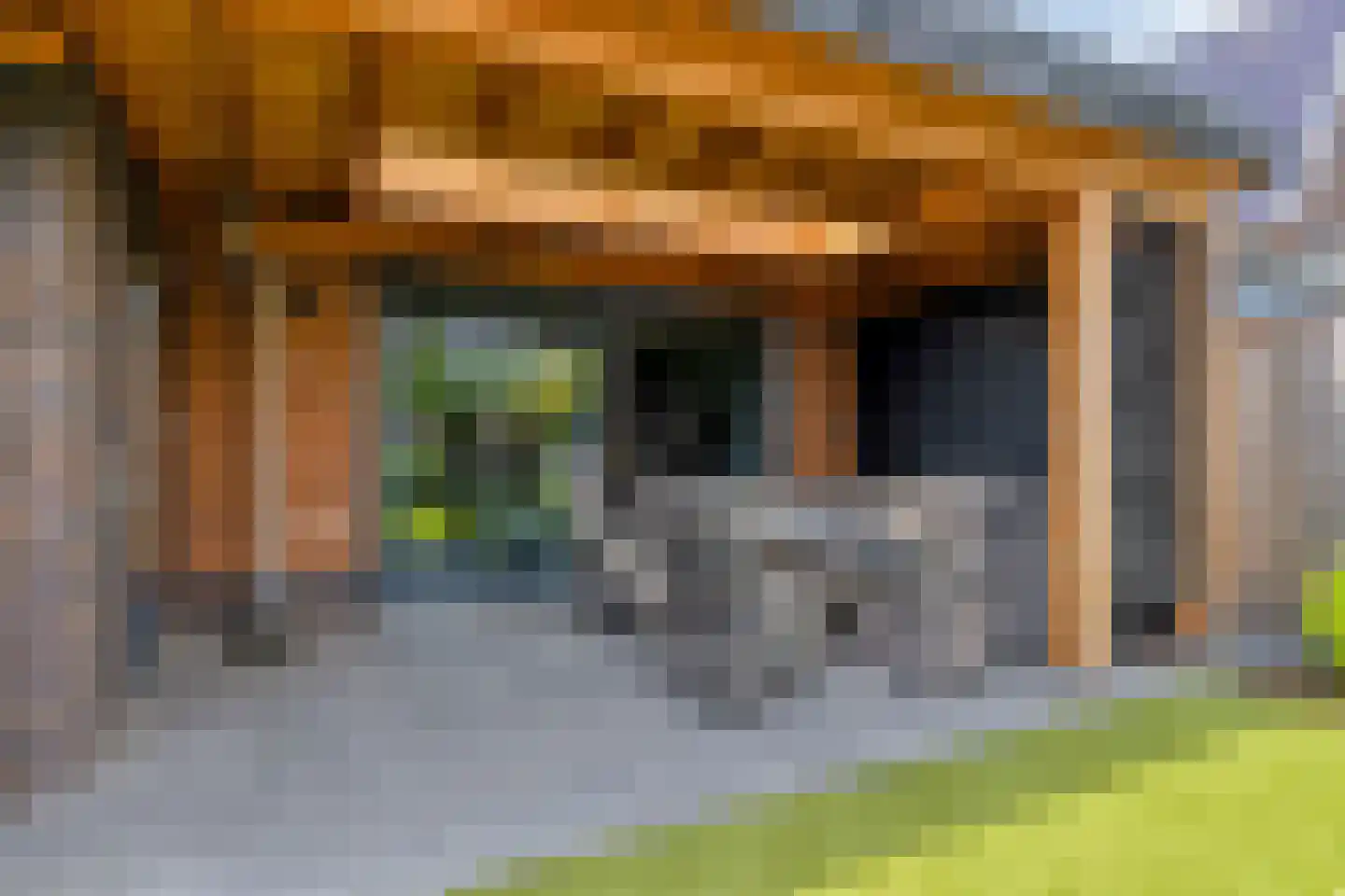 Bodemmes 25 Best thumbnail 34