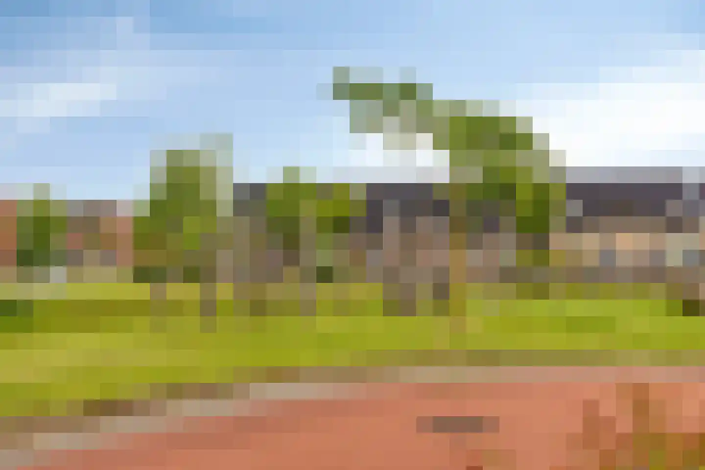 Bodemmes 25 Best thumbnail 36