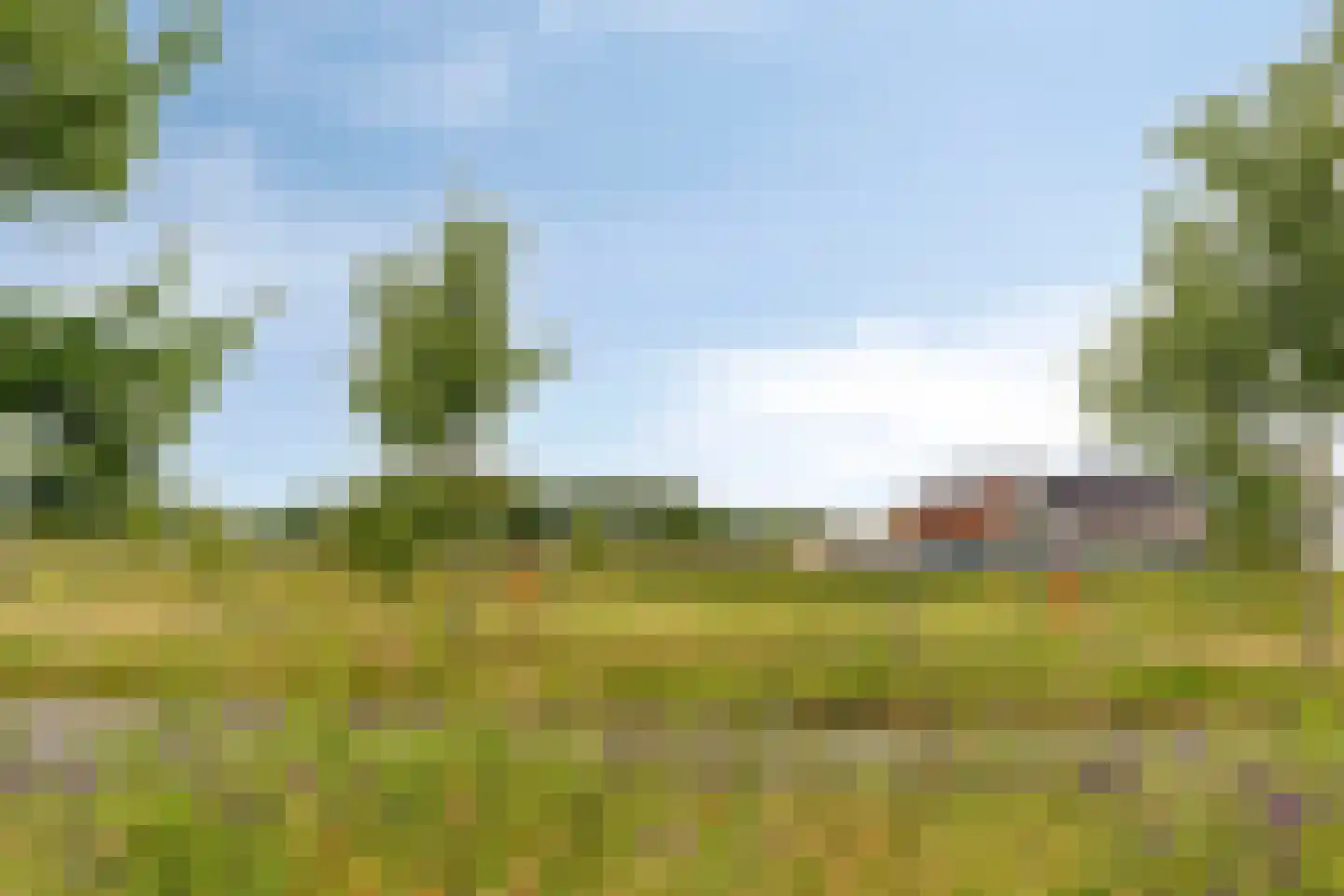 Bodemmes 25 Best thumbnail 37