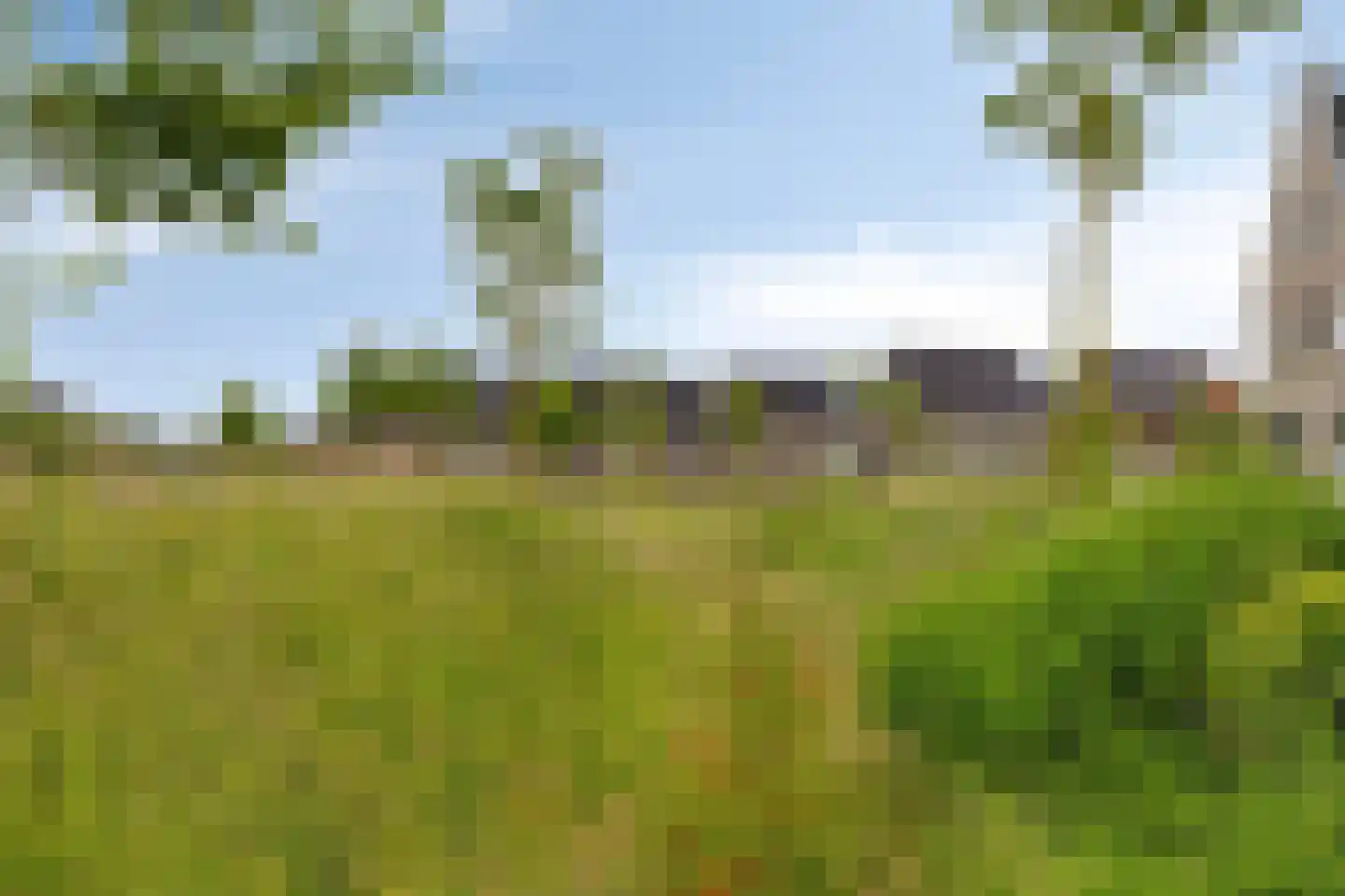 Bodemmes 25 Best thumbnail 38