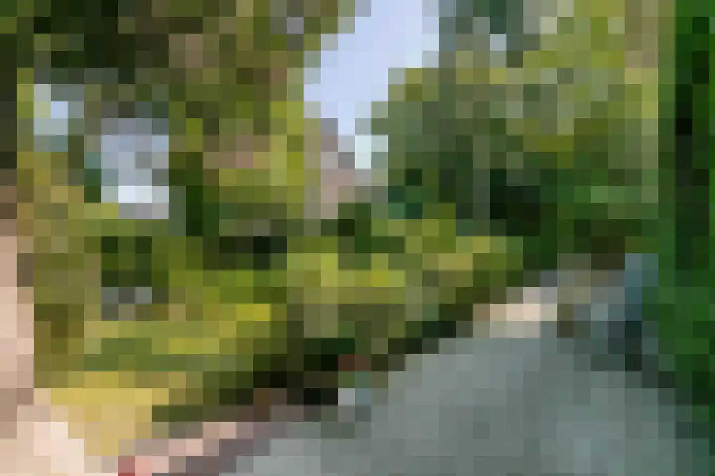 Bodemplein 41 Brunssum thumbnail 10