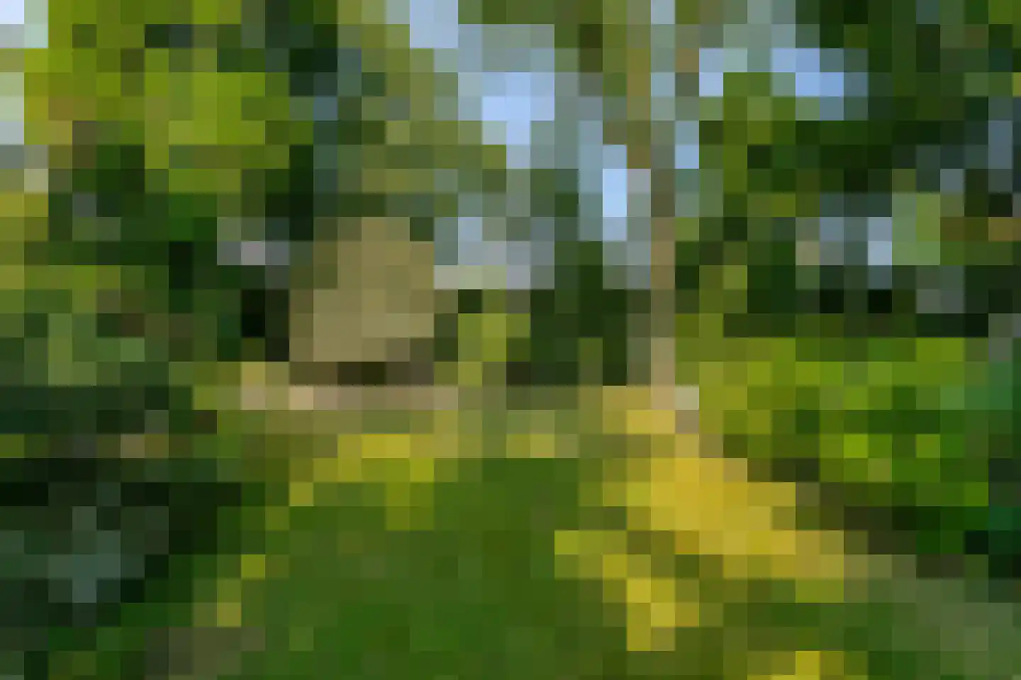 Bodemplein 41 Brunssum thumbnail 11
