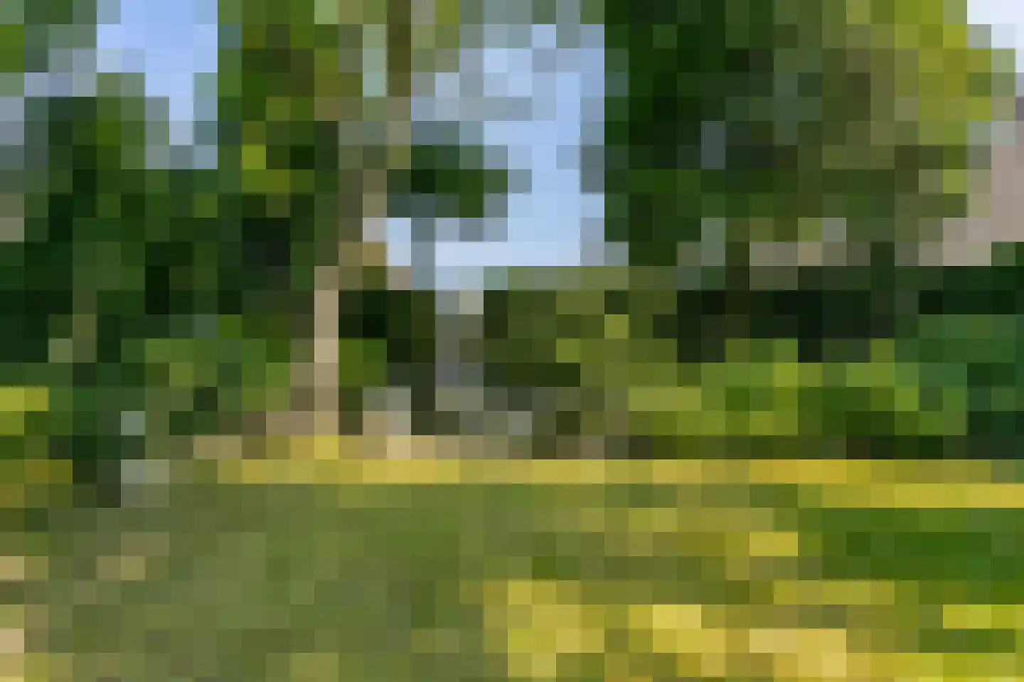Bodemplein 41 Brunssum thumbnail 12