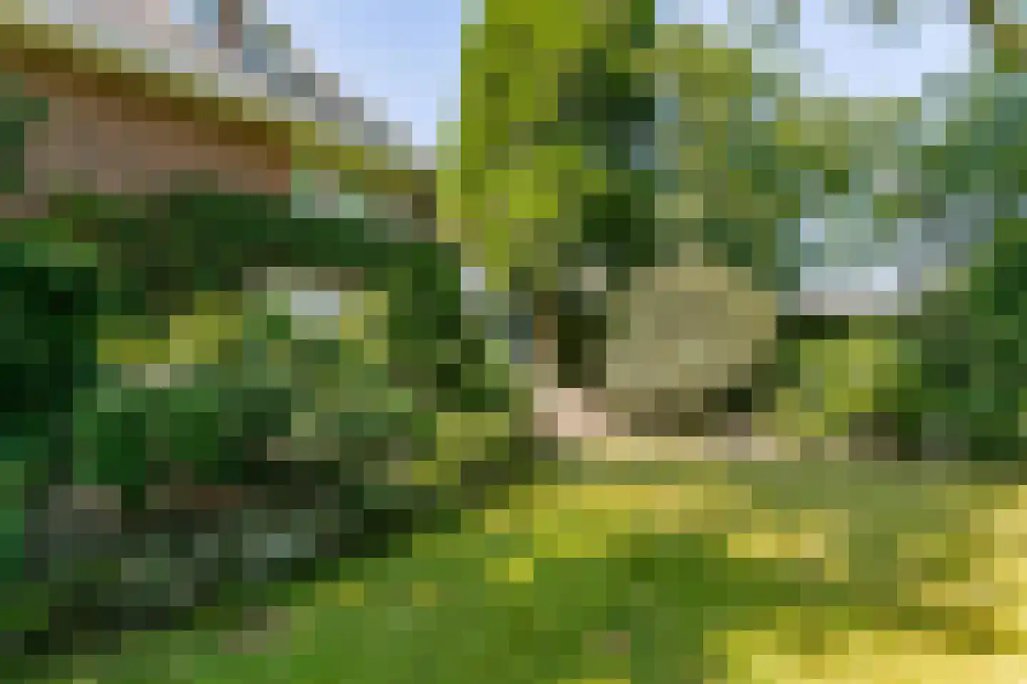 Bodemplein 41 Brunssum thumbnail 4