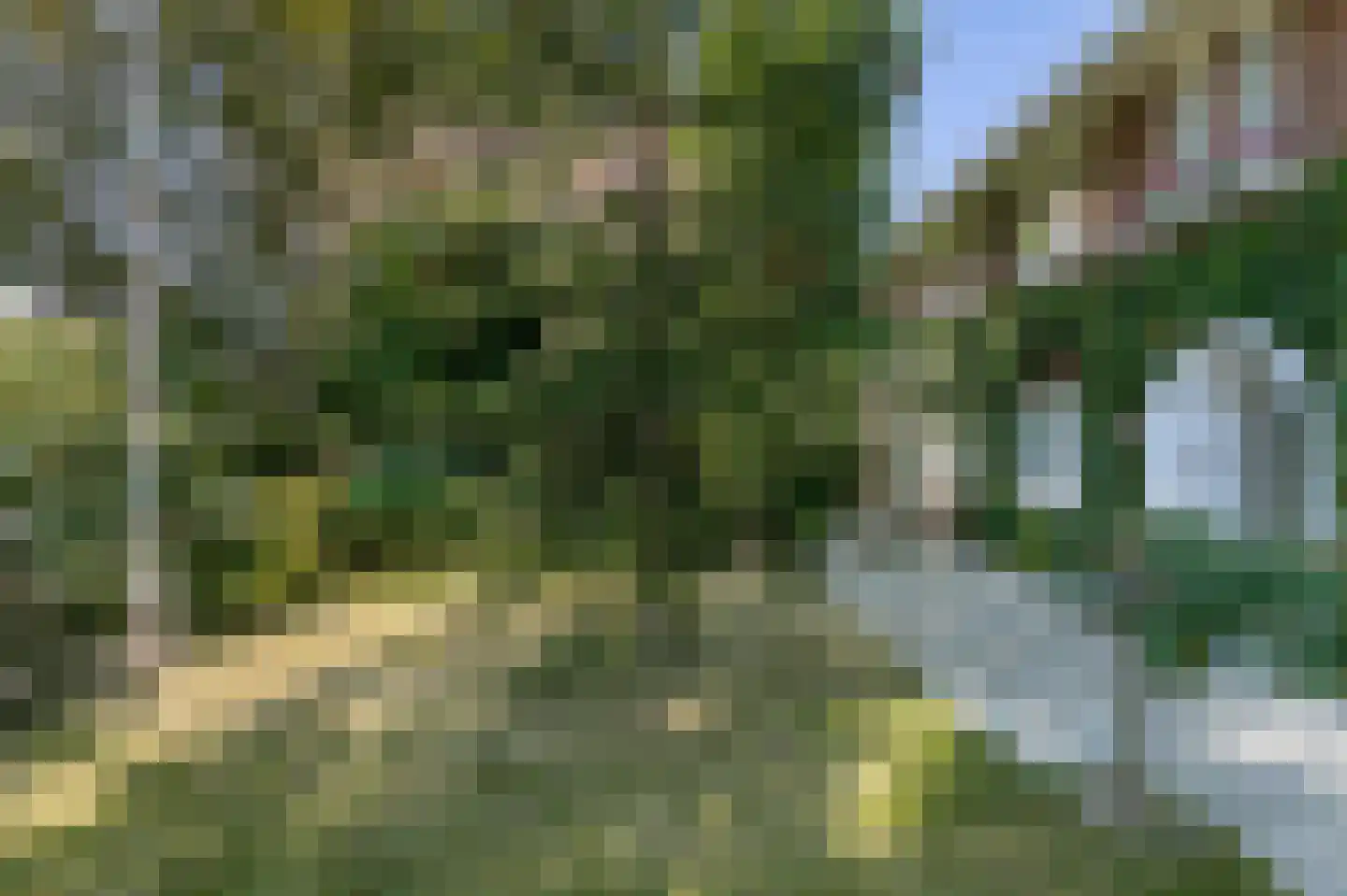 Bodemplein 41 Brunssum thumbnail 8