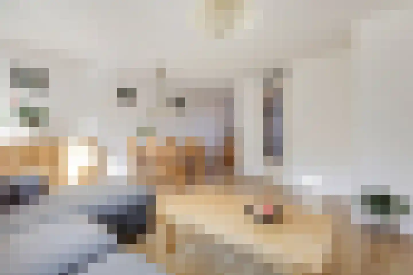 Bodenclauwstraat 14 Didam thumbnail 25