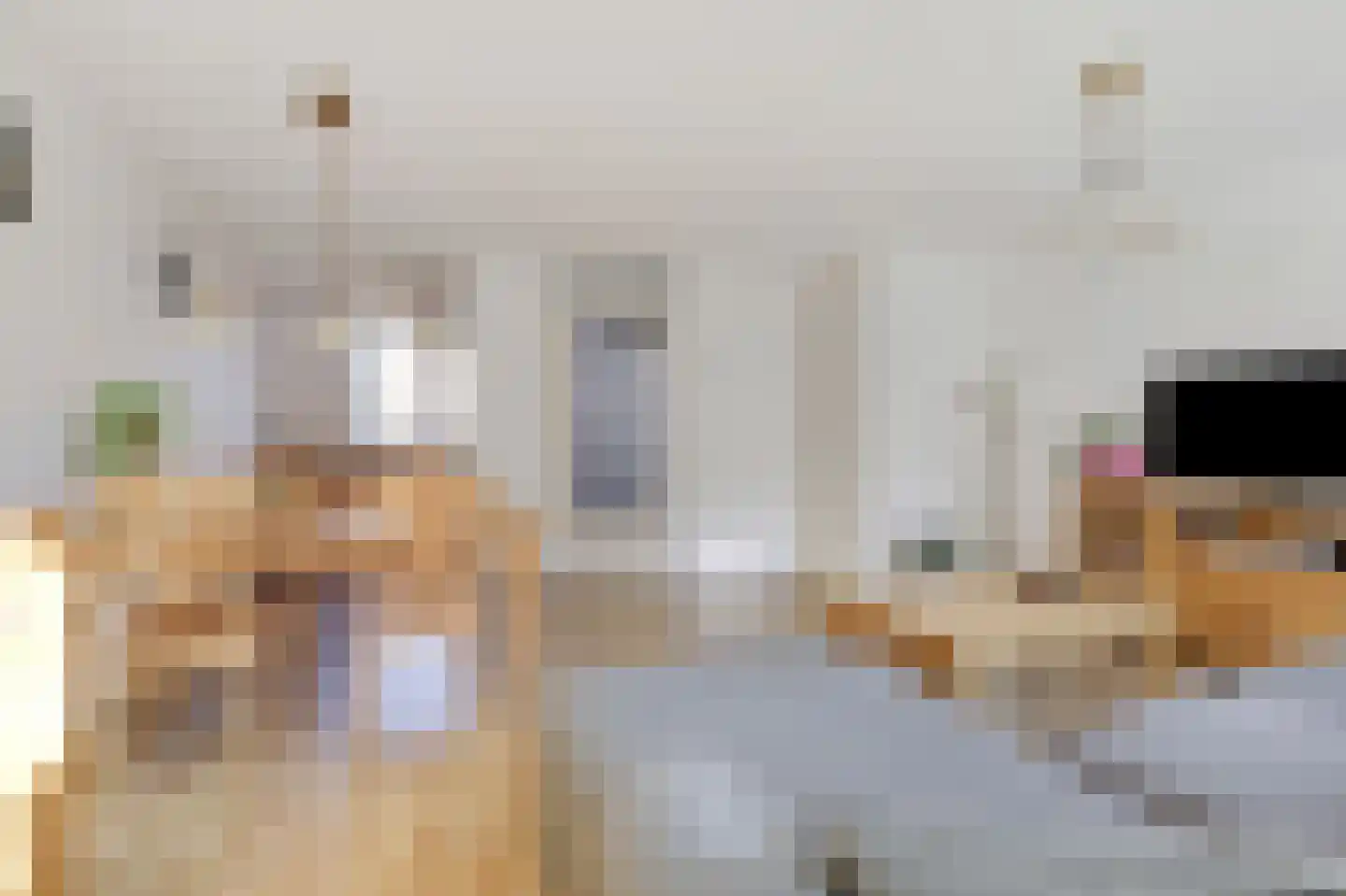 Bodenclauwstraat 14 Didam thumbnail 26