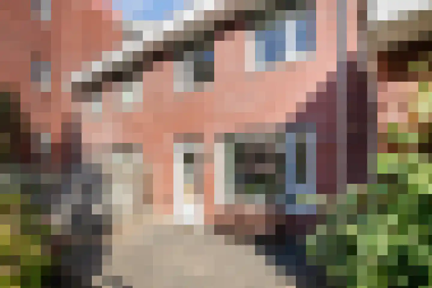 Bodenclauwstraat 14 Didam thumbnail 32