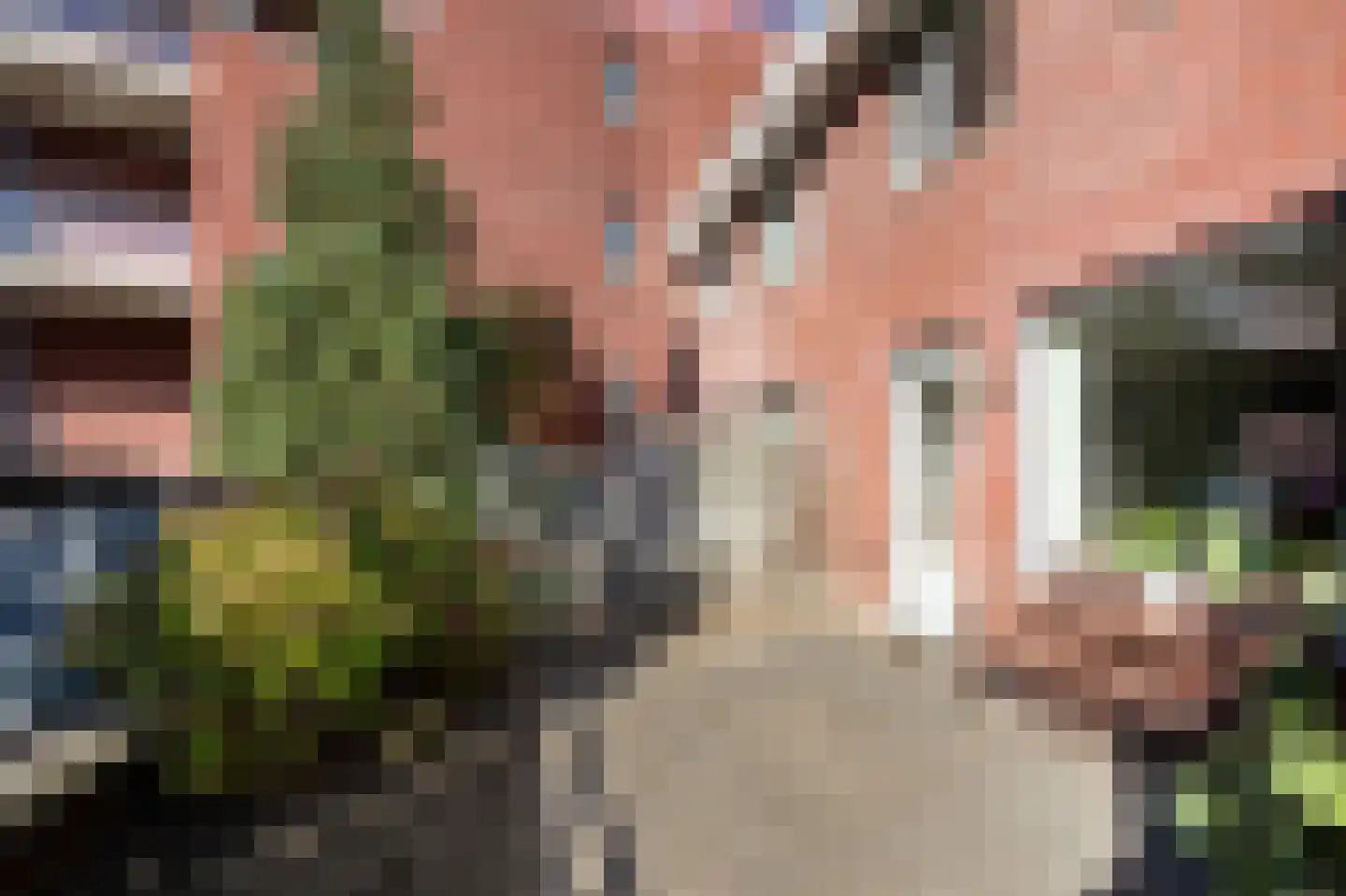 Bodenclauwstraat 14 Didam thumbnail 33