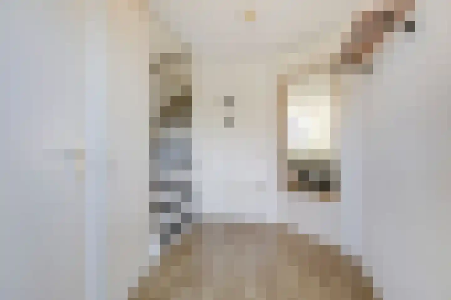 Bodenclauwstraat 14 Didam thumbnail 34