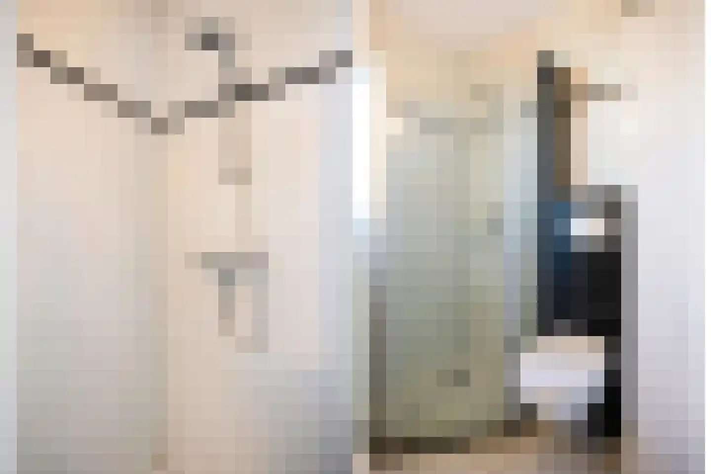 Bodenclauwstraat 14 Didam thumbnail 44