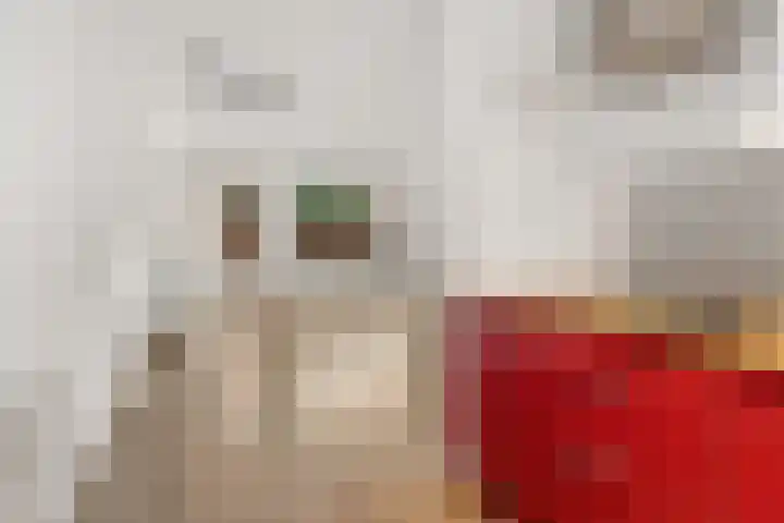 Bodenclauwstraat 18 Didam thumbnail 10