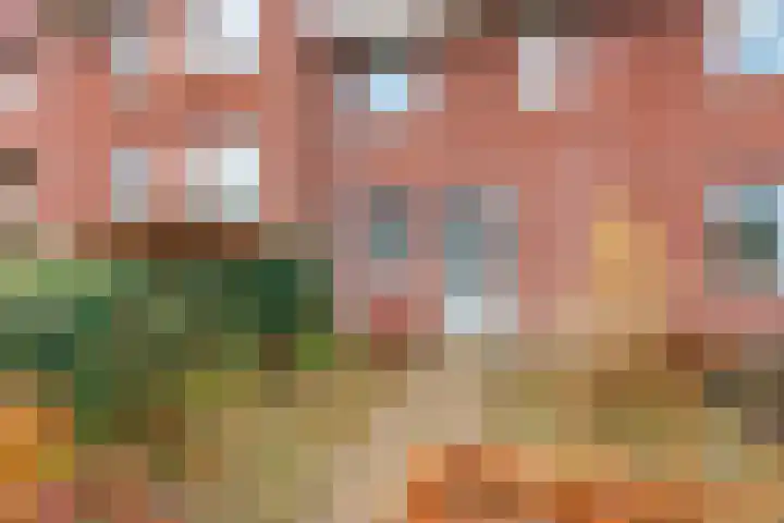 Bodenclauwstraat 18 Didam thumbnail 24