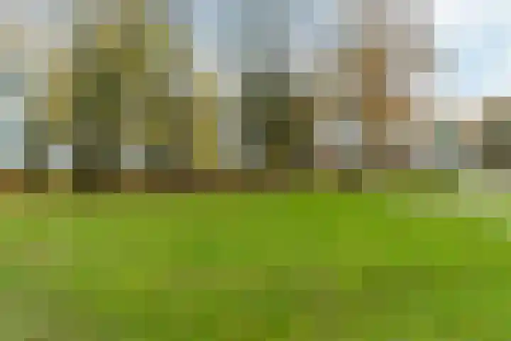 Bodenclauwstraat 18 Didam thumbnail 25