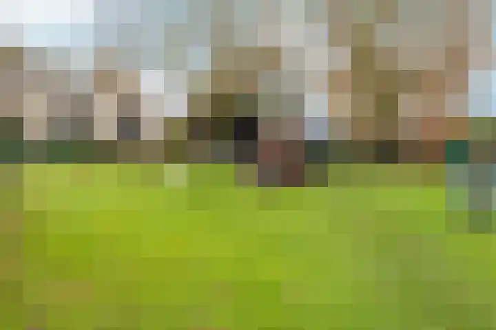 Bodenclauwstraat 18 Didam thumbnail 26