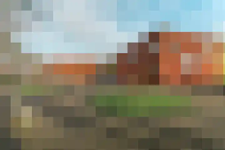 Bodenclauwstraat 18 Didam thumbnail 27
