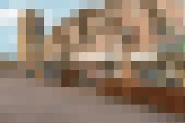 Bodenclauwstraat 18 Didam thumbnail 29