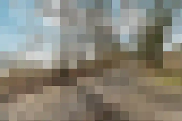 Bodenclauwstraat 18 Didam thumbnail 32