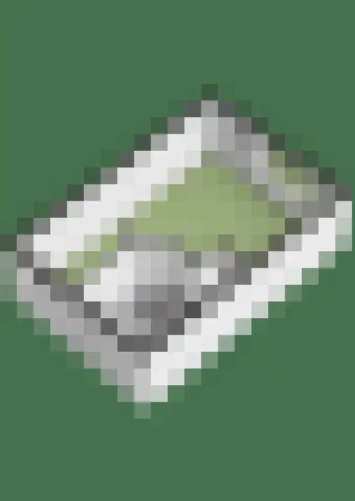 Bodenclauwstraat 18 Didam thumbnail 34