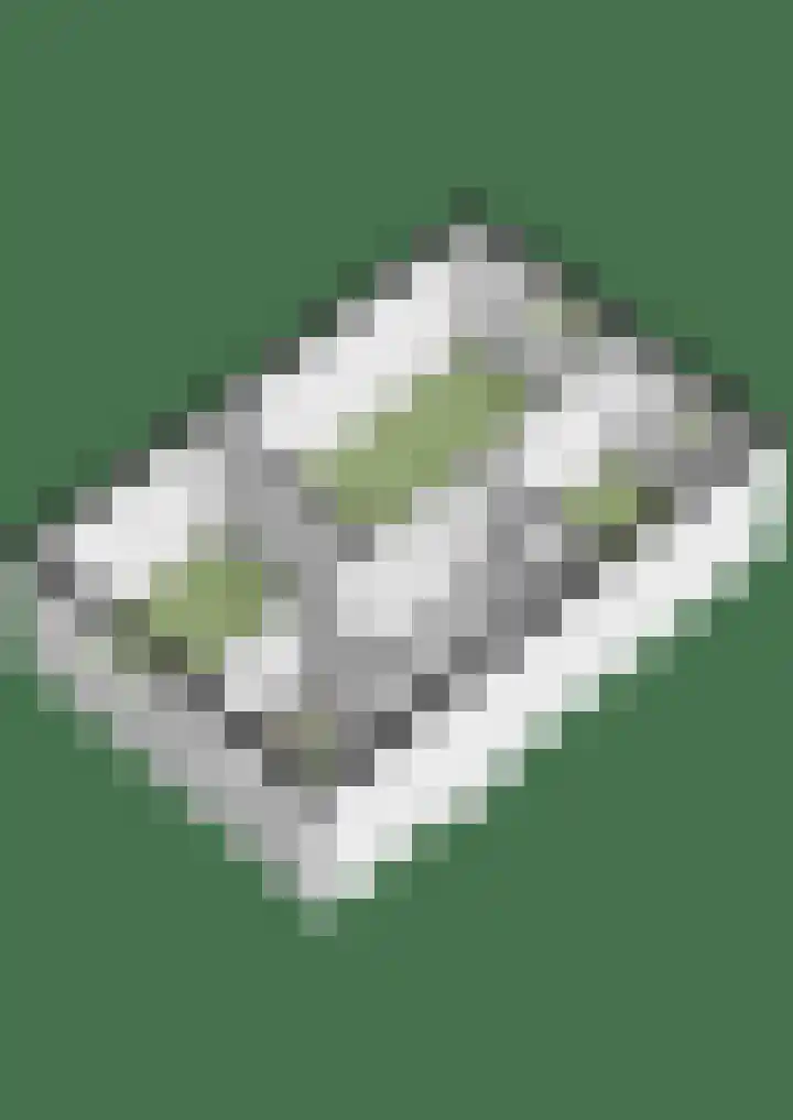 Bodenclauwstraat 18 Didam thumbnail 36