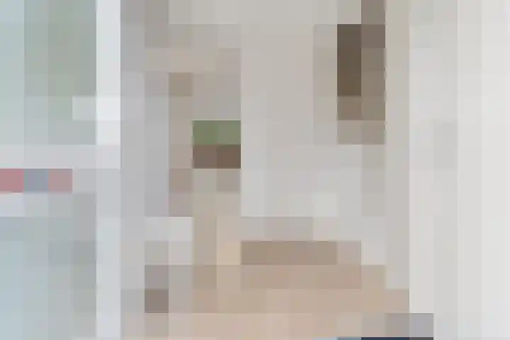 Bodenclauwstraat 18 Didam thumbnail 5