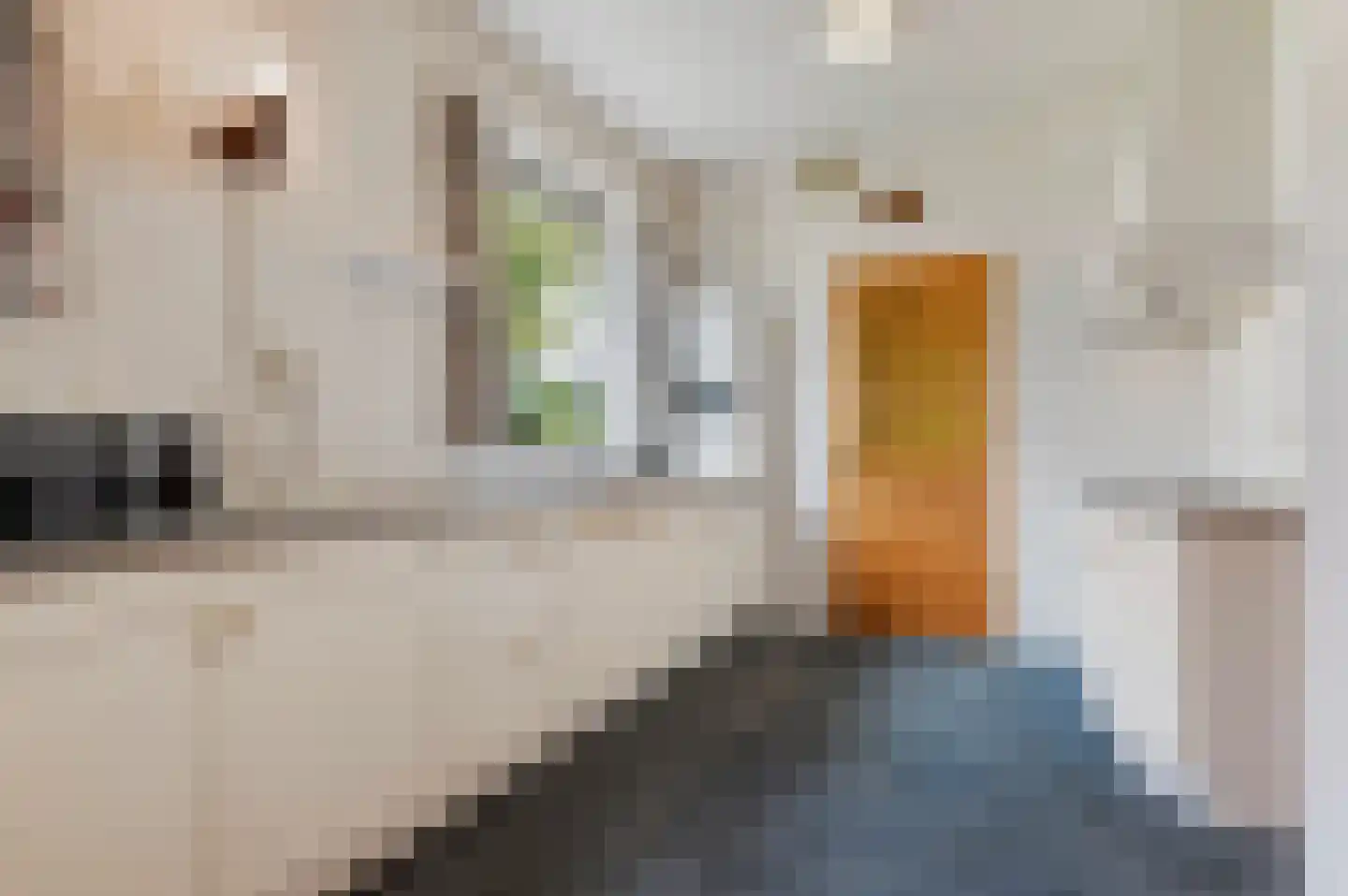Bodendijk 10 Aalten thumbnail 9