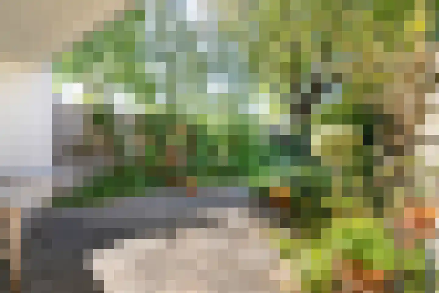 Bodenheimlaan 5 Nieuwegein thumbnail 29