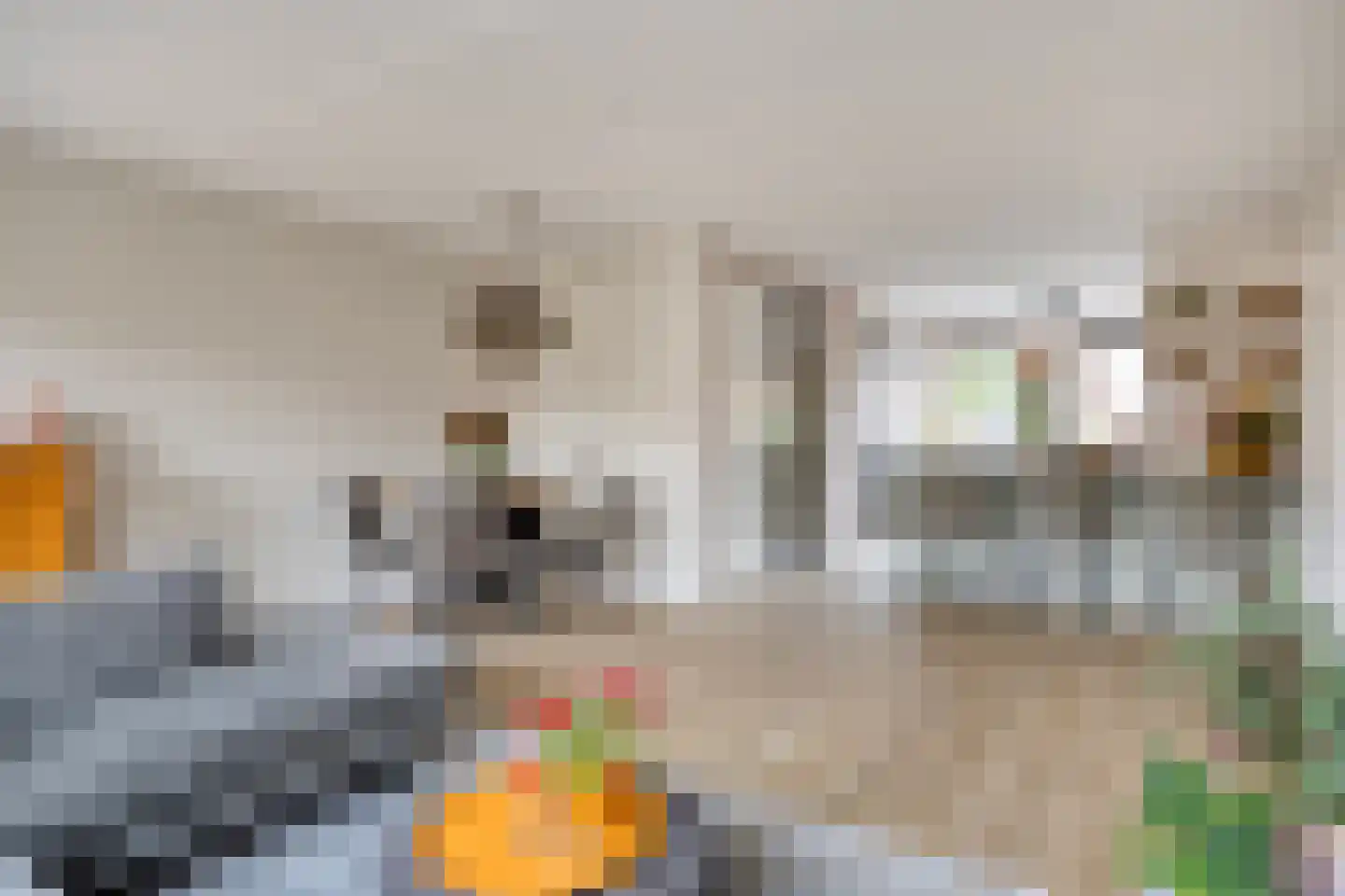 Bodenmeer 30 Woerden thumbnail 11