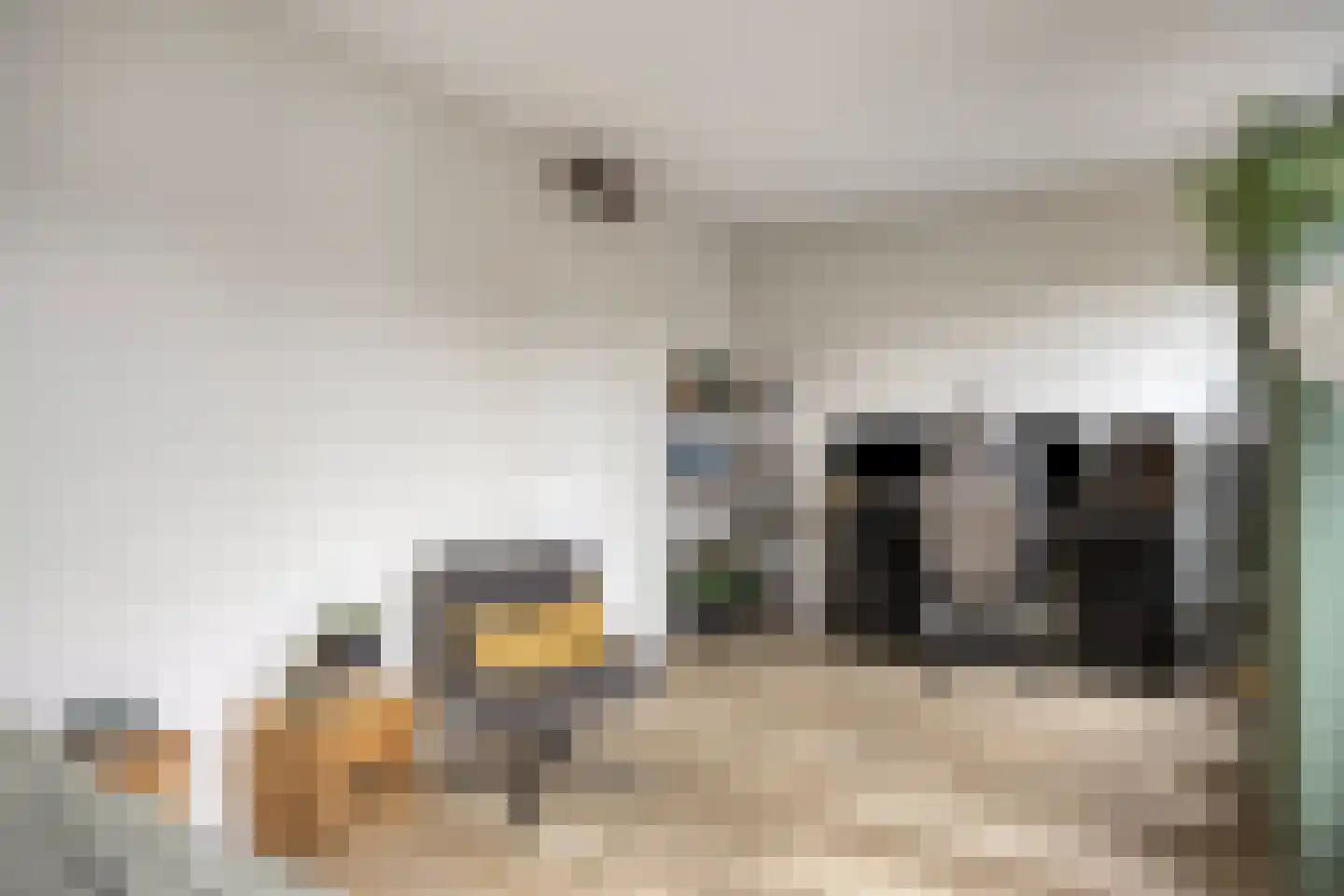 Bodenmeer 30 Woerden thumbnail 15