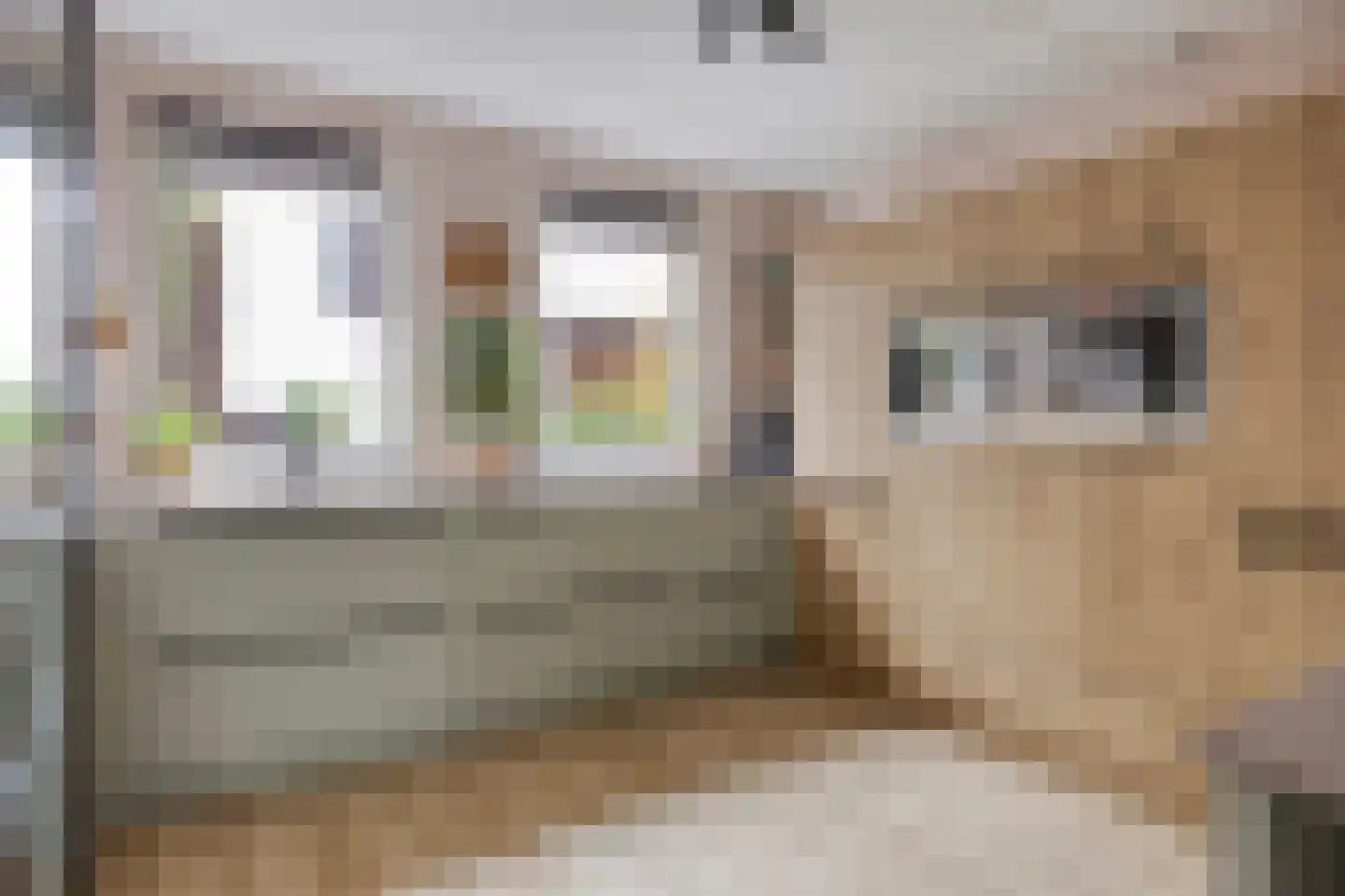 Bodenmeer 30 Woerden thumbnail 5