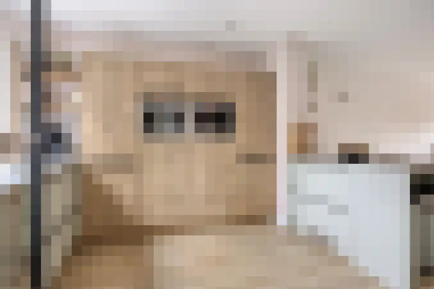 Bodenmeer 30 Woerden thumbnail 6