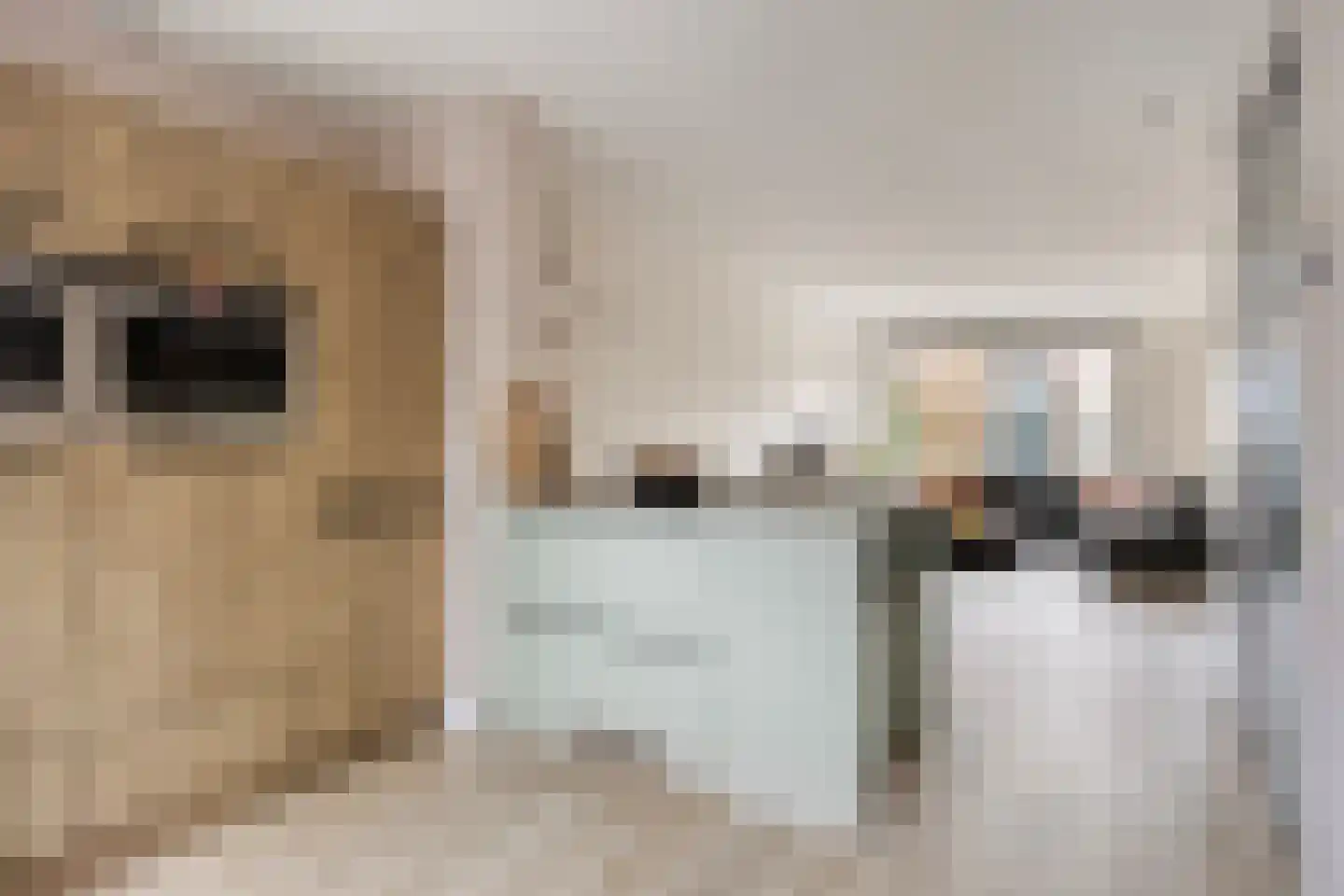 Bodenmeer 30 Woerden thumbnail 7