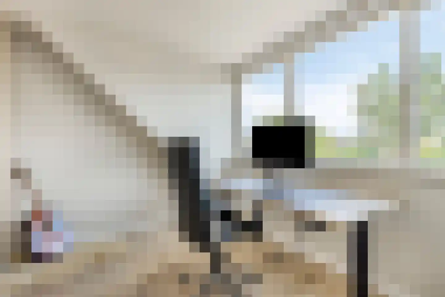 Bodenvoor 20 Aalten thumbnail 21