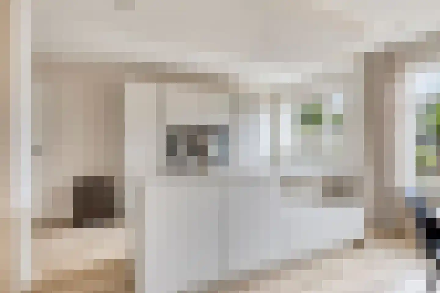 Bodenvoor 20 Aalten thumbnail 6