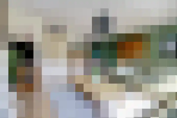 Bodepad 7 Hilvarenbeek thumbnail 11