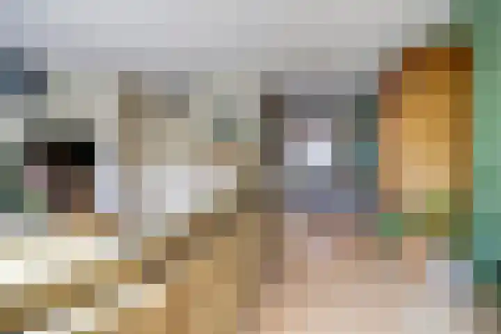 Bodepad 7 Hilvarenbeek thumbnail 12