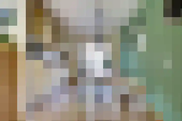 Bodepad 7 Hilvarenbeek thumbnail 13