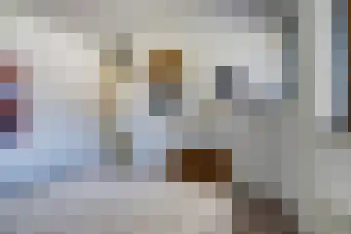 Bodepad 7 Hilvarenbeek thumbnail 21