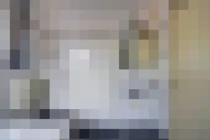 Bodepad 7 Hilvarenbeek thumbnail 26