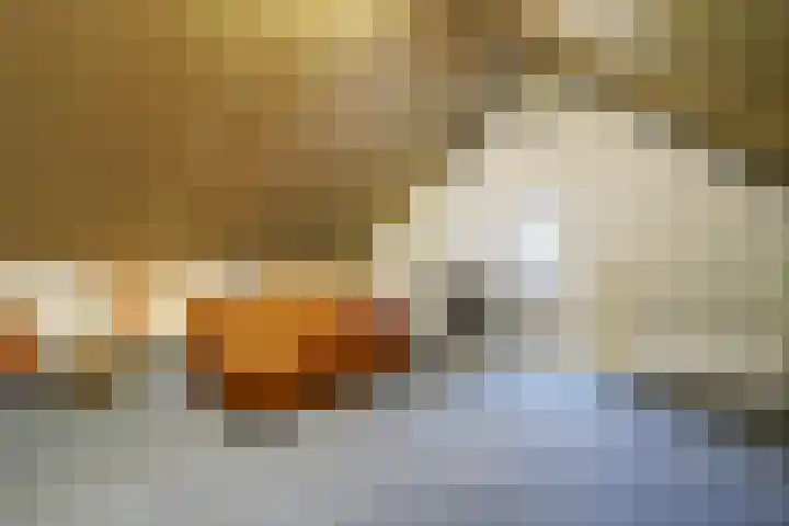 Bodepad 7 Hilvarenbeek thumbnail 27