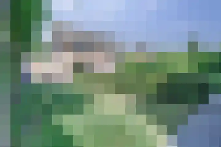 Bodepad 7 Hilvarenbeek thumbnail 31