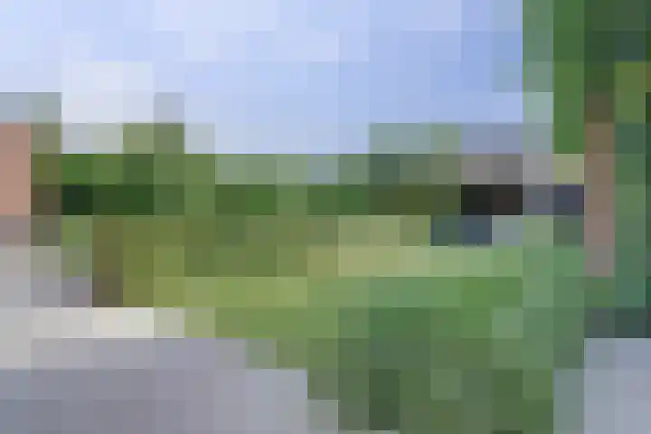 Bodepad 7 Hilvarenbeek thumbnail 34