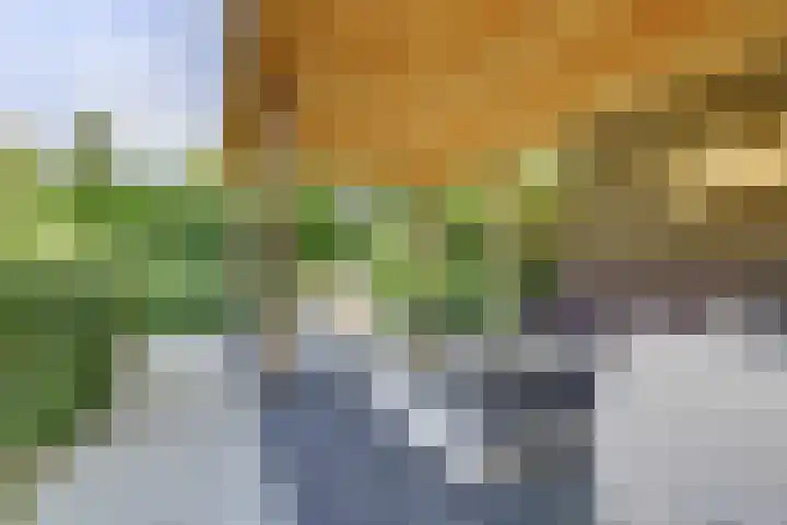 Bodepad 7 Hilvarenbeek thumbnail 35